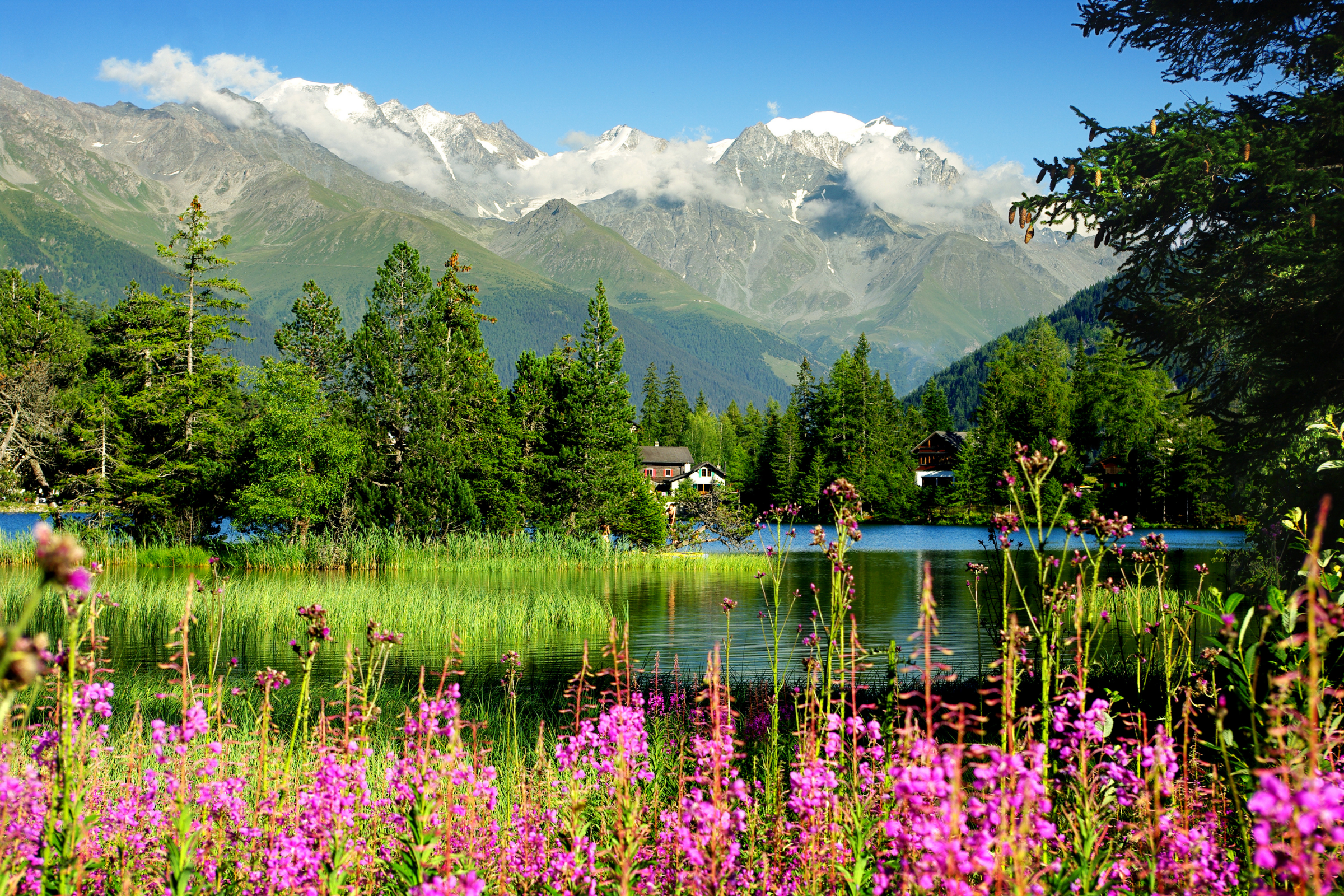 02_Champex[1].webp